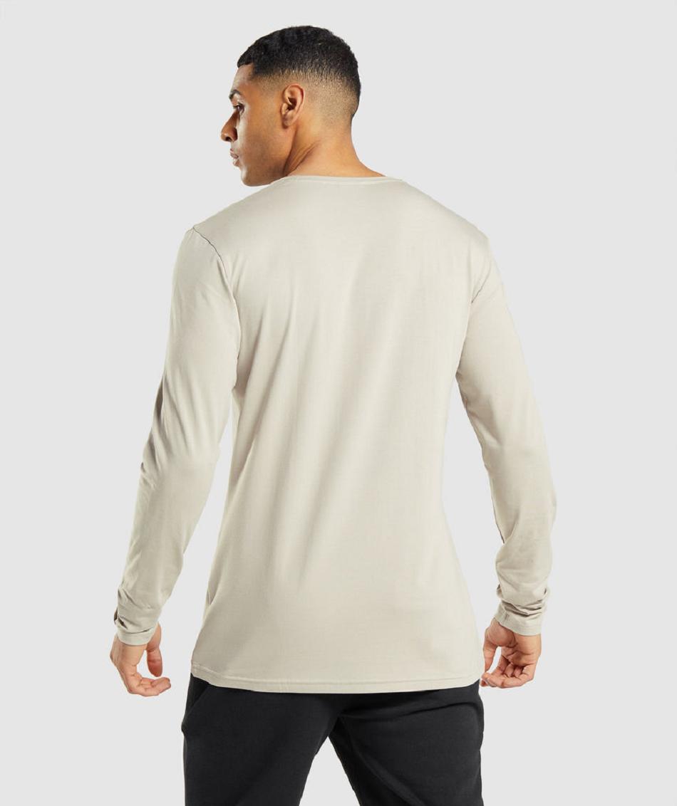 Long Sleeve Gymshark Essential Hombre Gris | CO 3507AHK